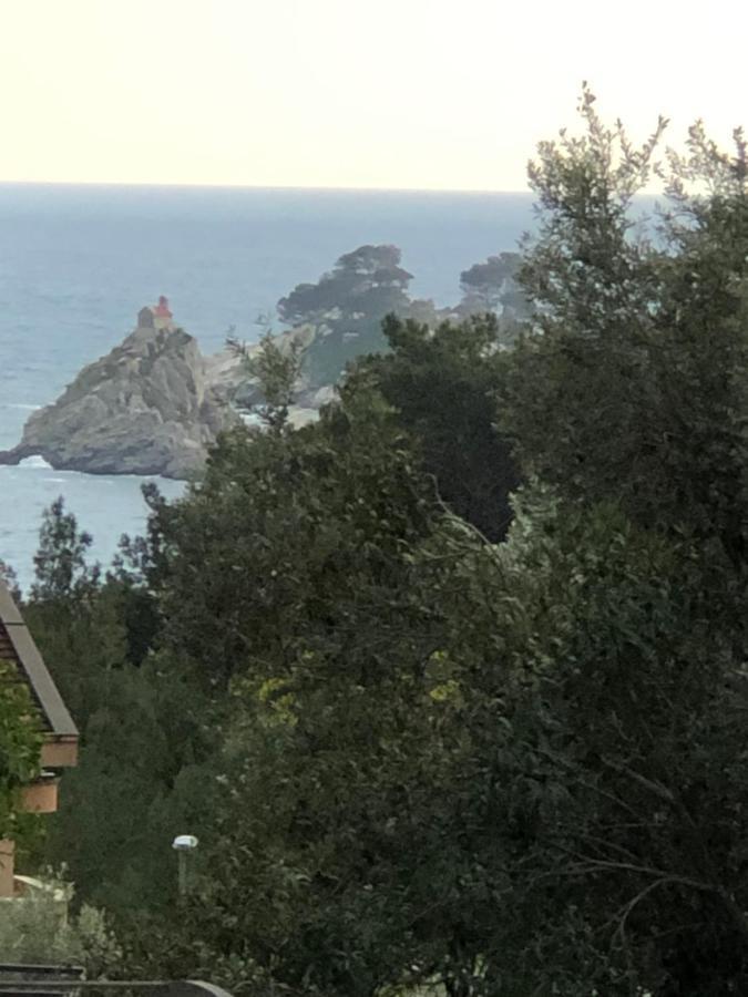 Apartmani Lime Petrovac Exterior photo